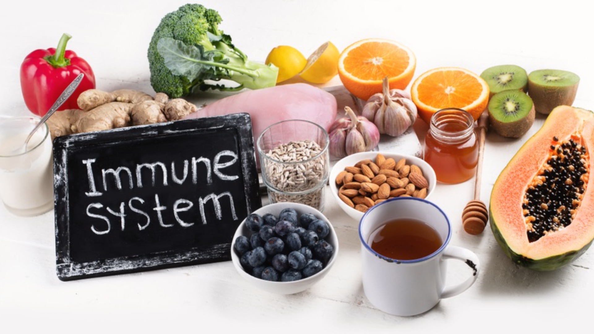 My Pet Nutritionist | 10 Top Foods For Your Dog's Immunity